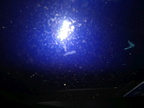 IMG 20170606 174322646