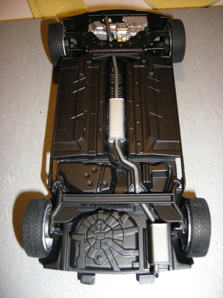 IMGP3111