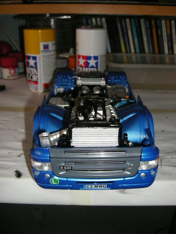 IMGP2387