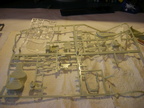 IMGP3274