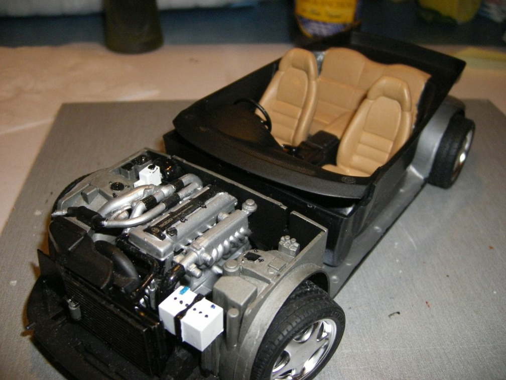 IMGP4708